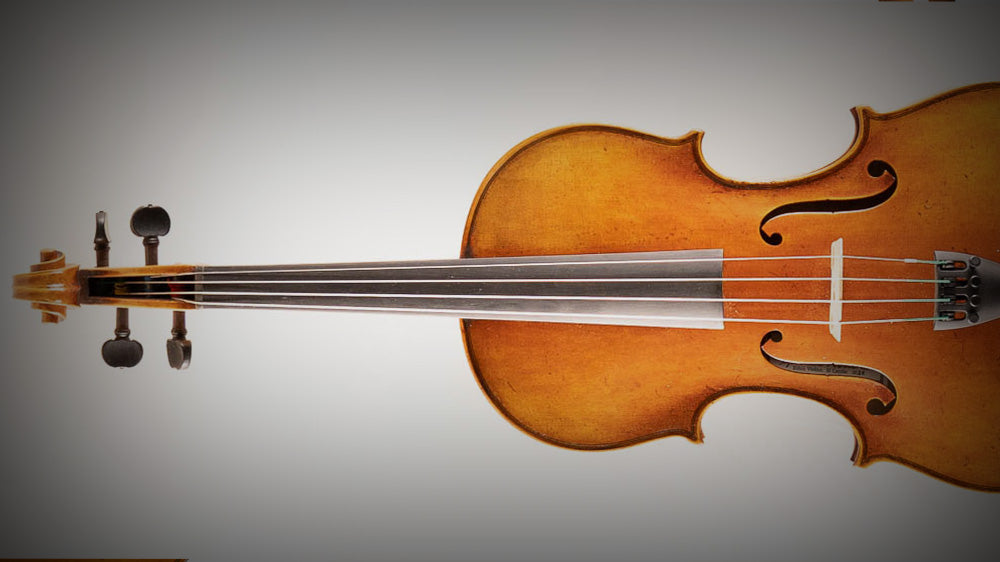 Violas – violinshoptampa