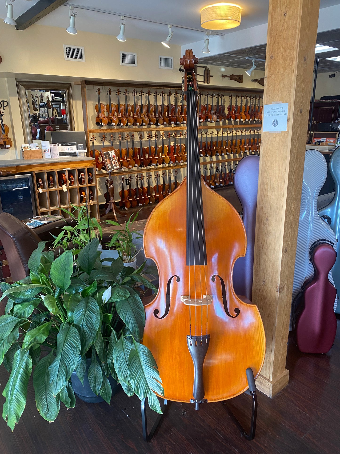 August Kohr Bass Model HC900B 2011