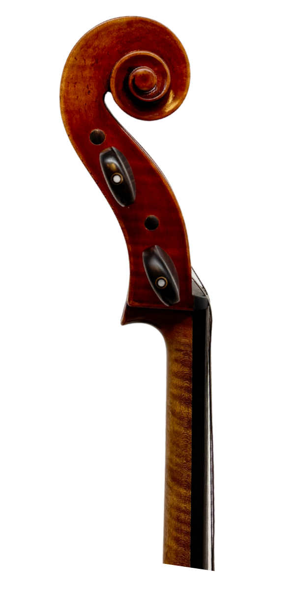Akso Balazs Gold Line Professional Cello