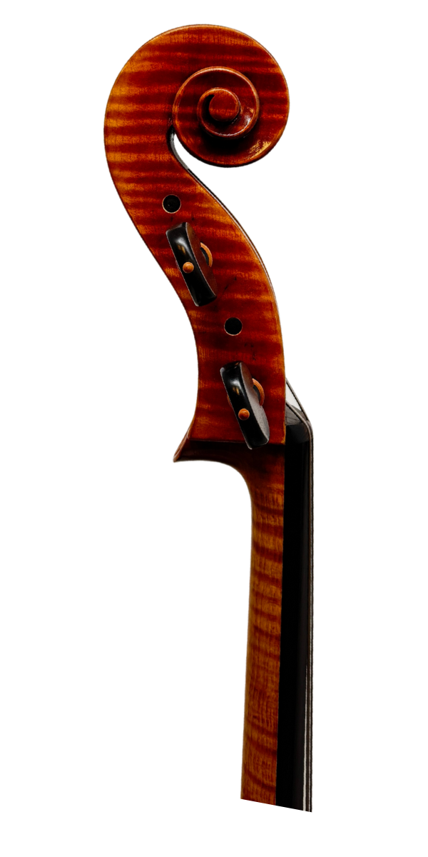 Ming Jiang Zhu Cello - Montagnana Pattern