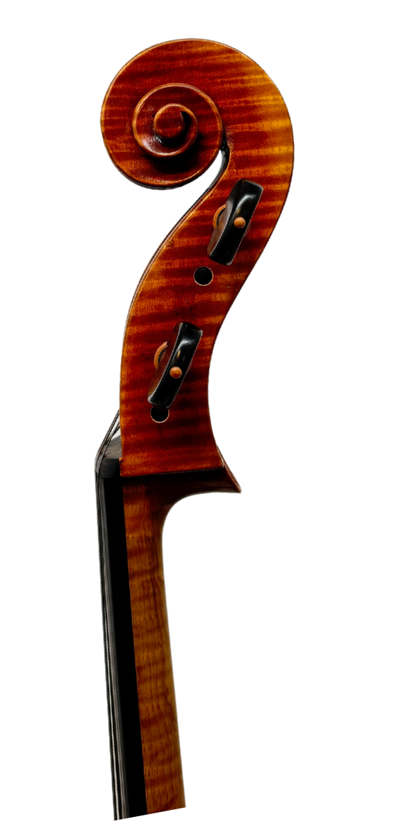 Ming Jiang Zhu Cello - Montagnana Pattern