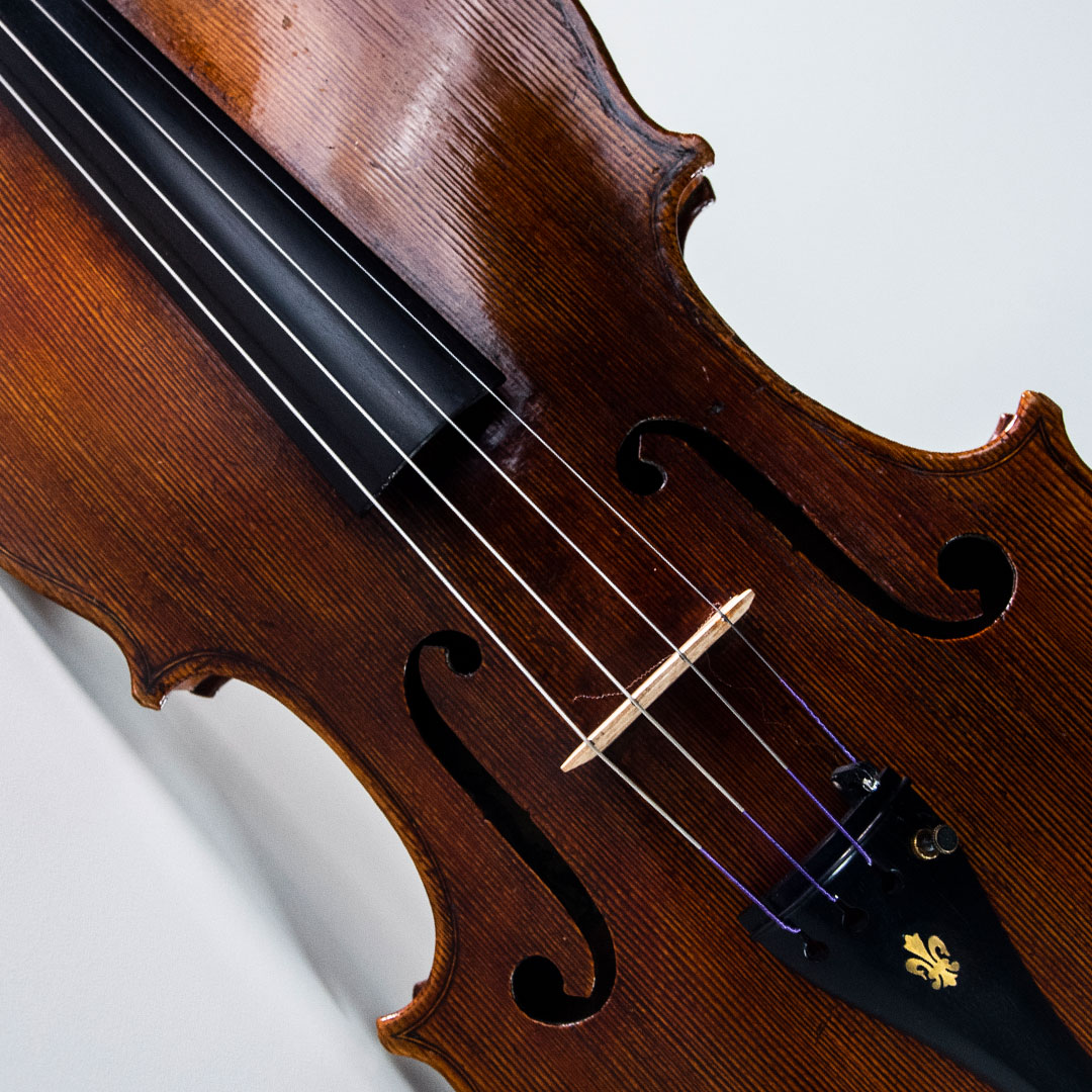 Thomastik Peter Infeld PI Viola String Set