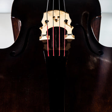 Thomastik Spirocore Bass D String - Medium