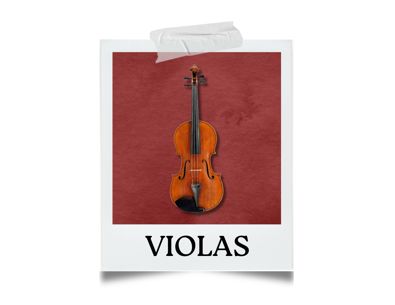 Violas