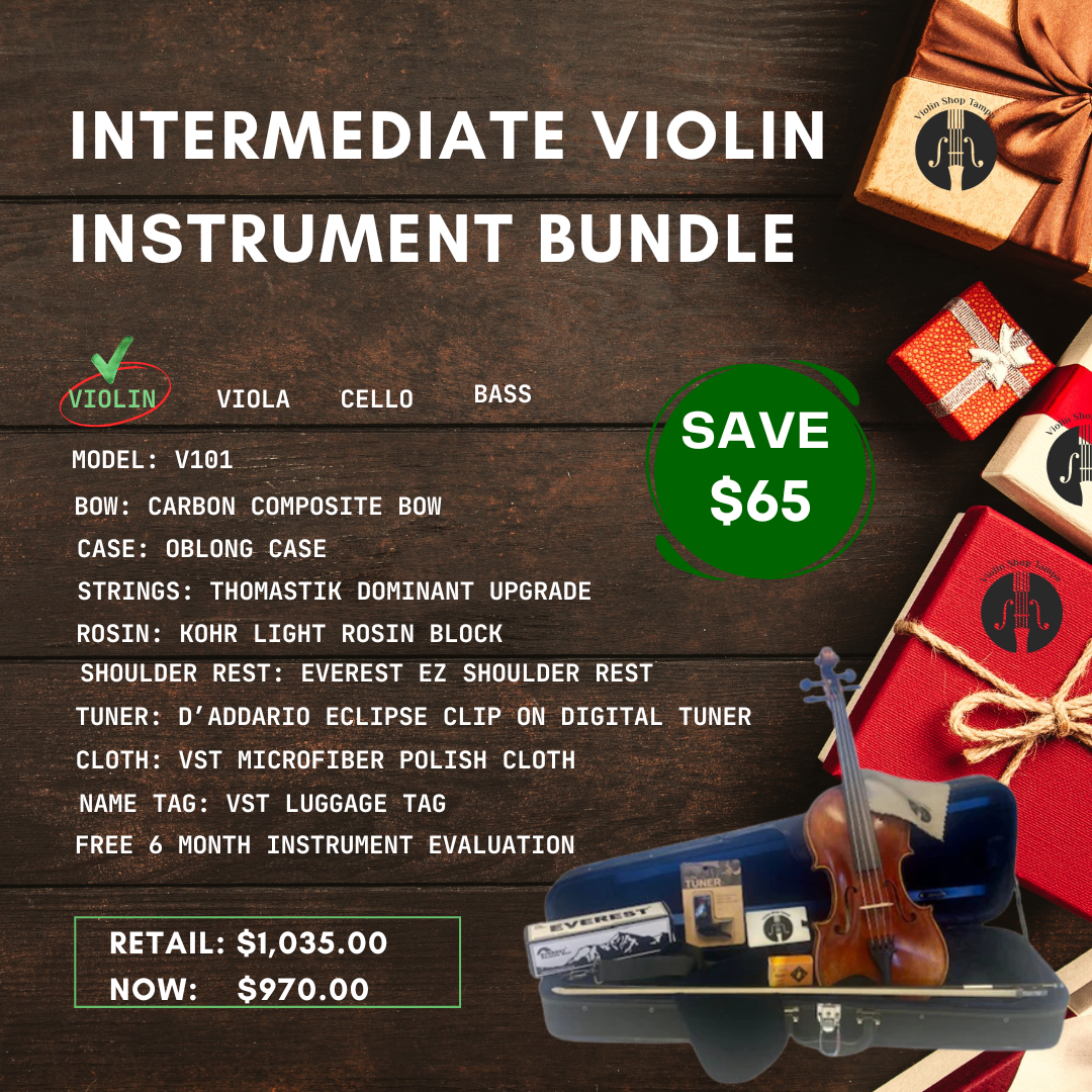 VST Model V101 Violin Intermediate Instrument Bundle