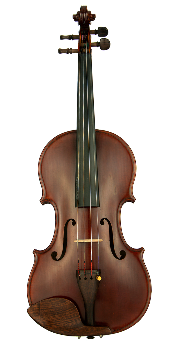 Alceste Bulfari 1989 Cremona Violin