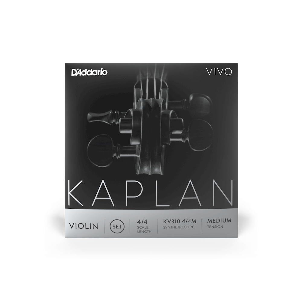 D'addario Kaplan Vivo 4/4 Violin String Set