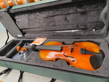 Bam Classic Violin Case Green