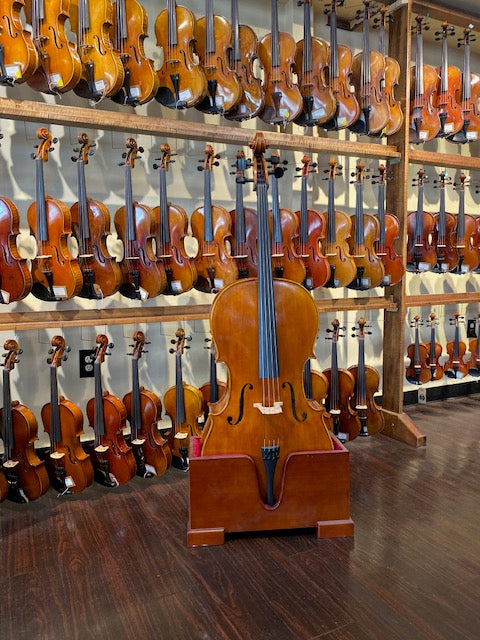 Best Cellos for Sale | Expert Advice | Violin Shop Tampa 