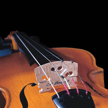 L. R. Baggs Vio Violin Pickup