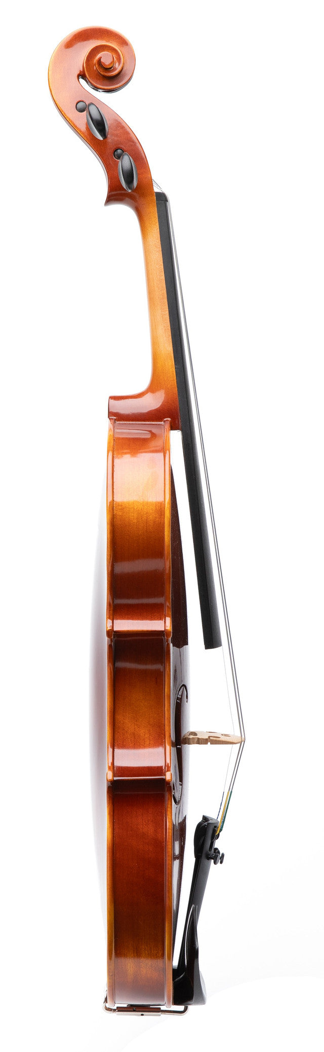 Revelle Model 300 Violin Outfit