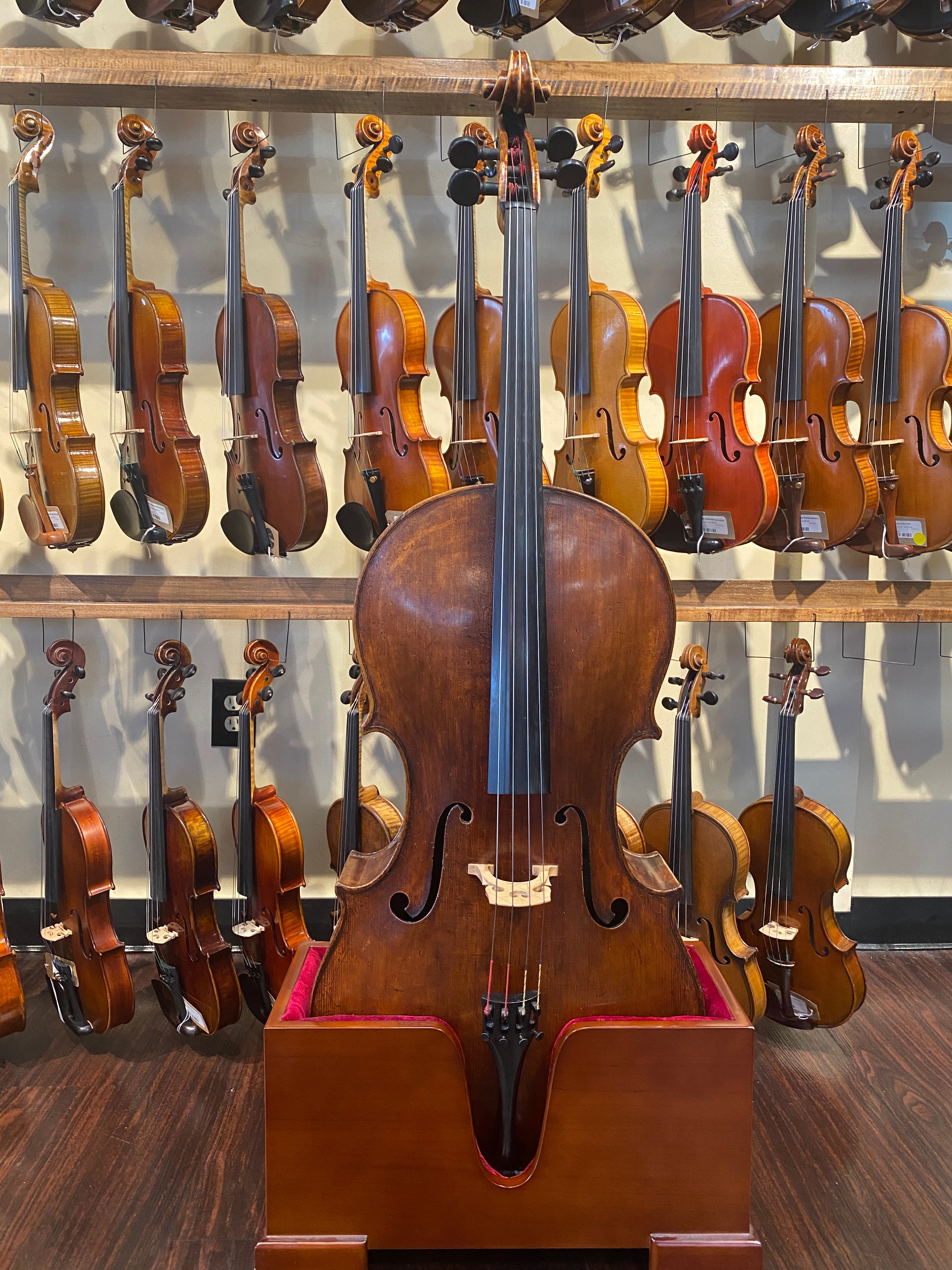 Northern Italian Cello ascribed to Romeo Antoniazzi 1900s – violinshoptampa