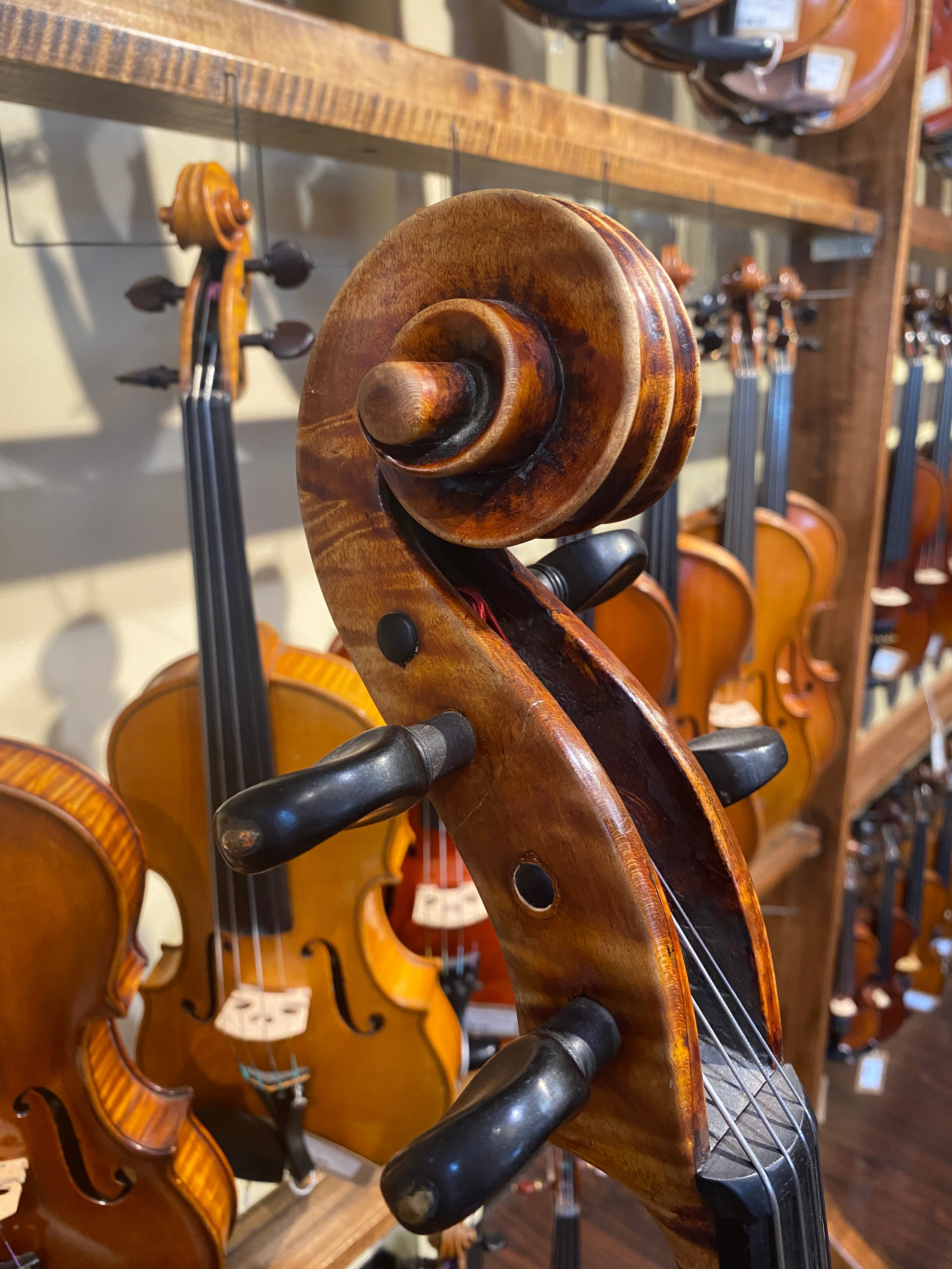 Northern Italian Cello ascribed to Romeo Antoniazzi 1900s – violinshoptampa