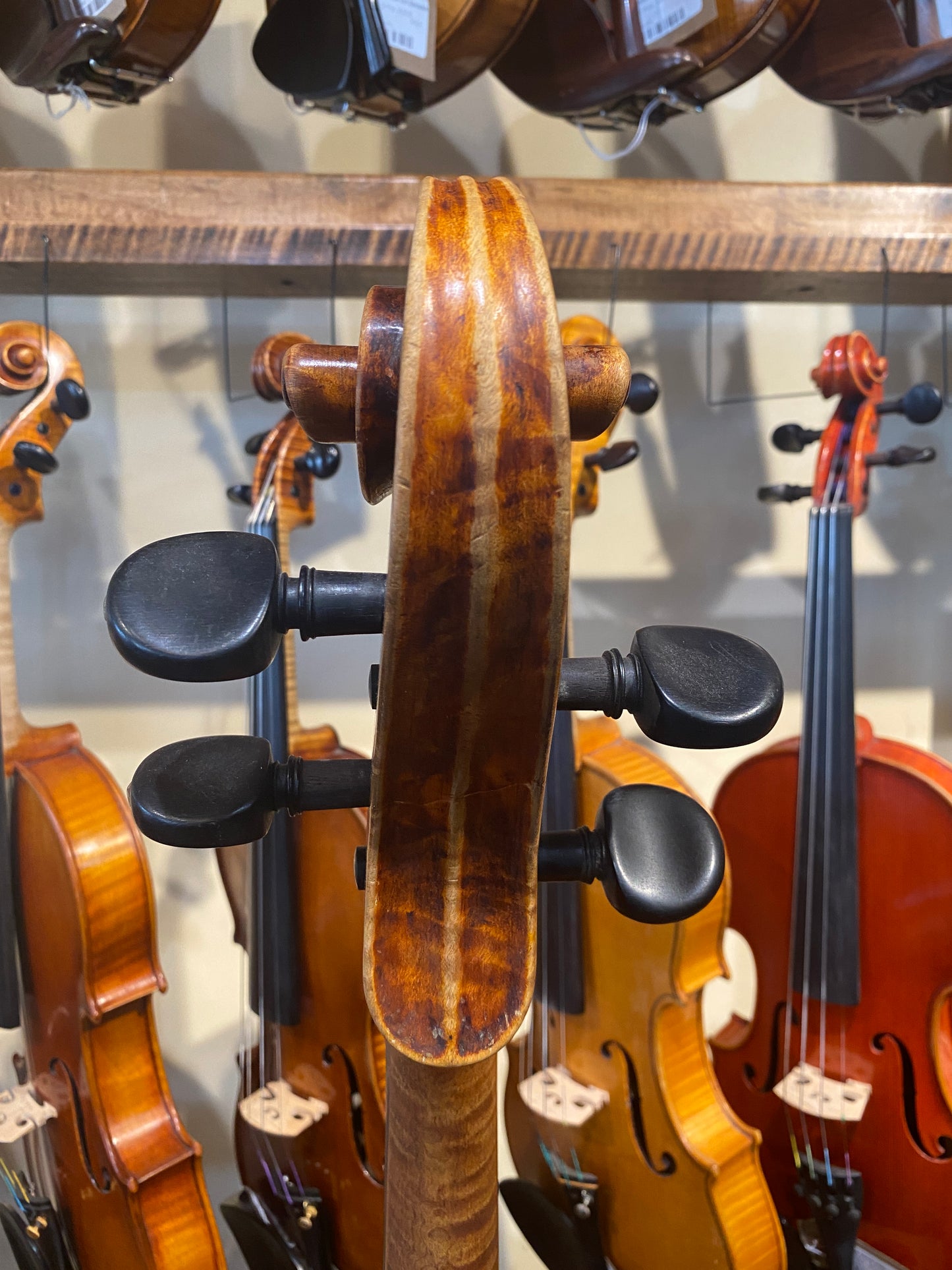 Northern Italian Cello ascribed to Romeo Antoniazzi Circa 1900-25 with Papers (B)