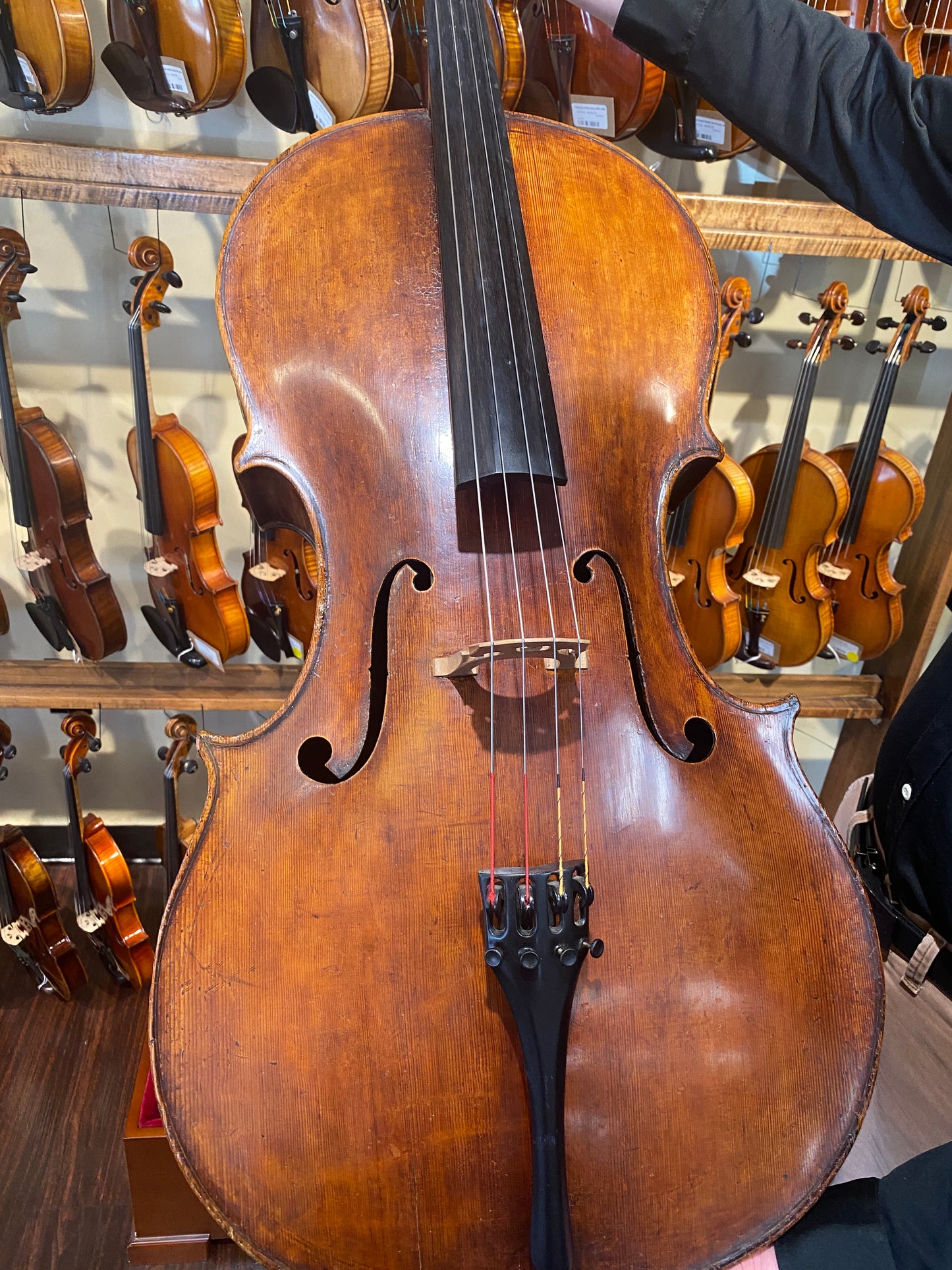 Northern Italian Cello ascribed to Romeo Antoniazzi Circa 1900-25 with Papers (B)