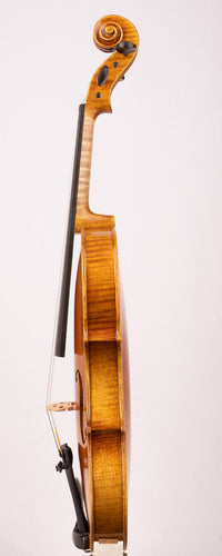 Advancing Violin Model V300