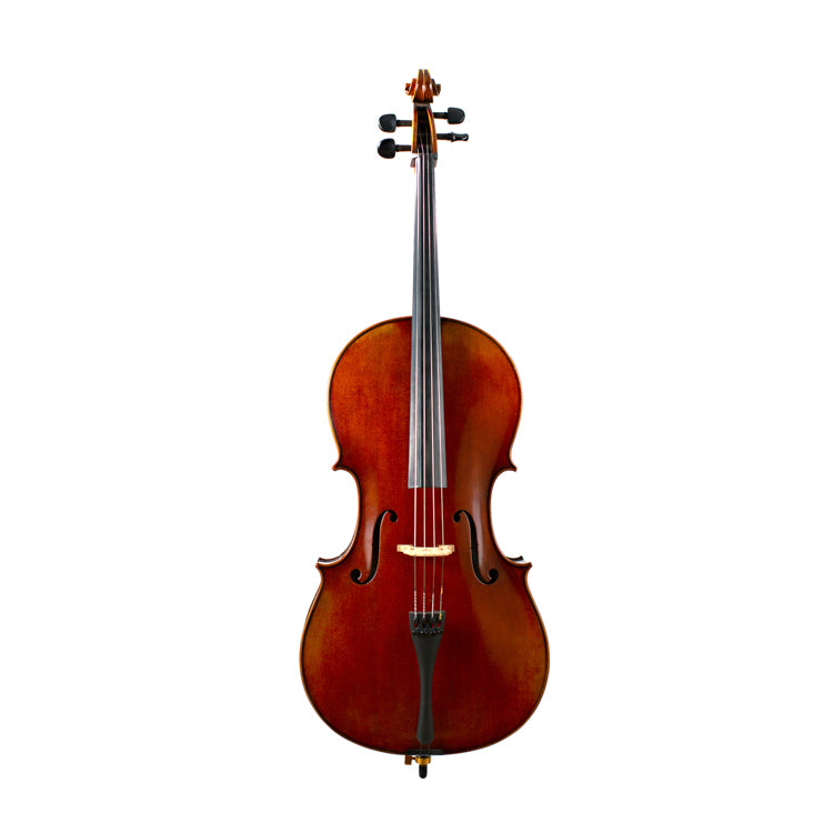 Advanced Cello Outfit Model IC500