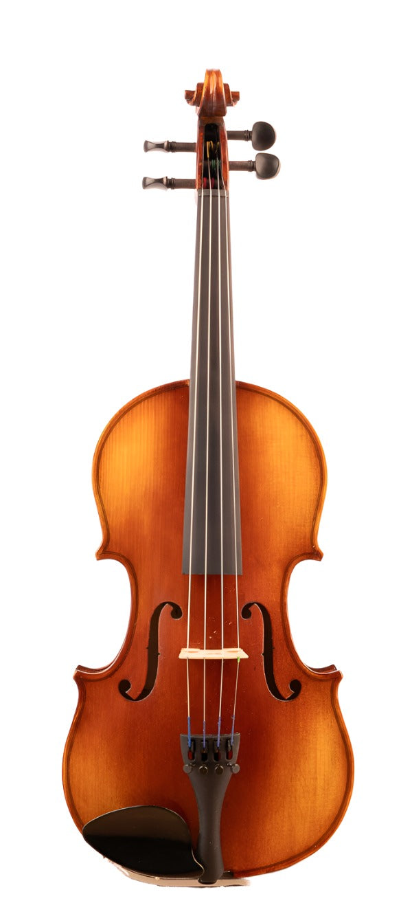 Violin shop on sale near me