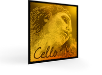 Pirastro Evah Pirazzi Gold Cello String C
