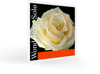 Pirastro Wondertone Solo Violin D String