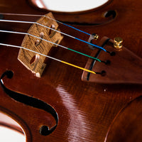 Thomastik Infeld Blue Violin String Set